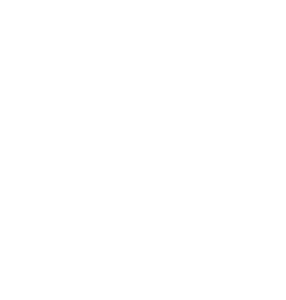 DSP Insurance Services - Logo 800 White