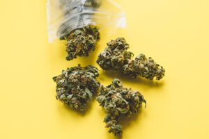 Dispensaries - Packaged Cannabis From Small Business Marijuana Dispensary